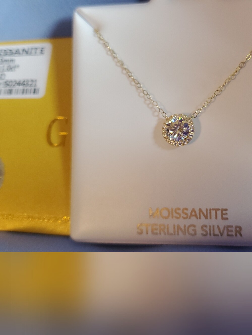 Sterling Silver 1ct Moissanite  wHalo Pendant Necklace - White